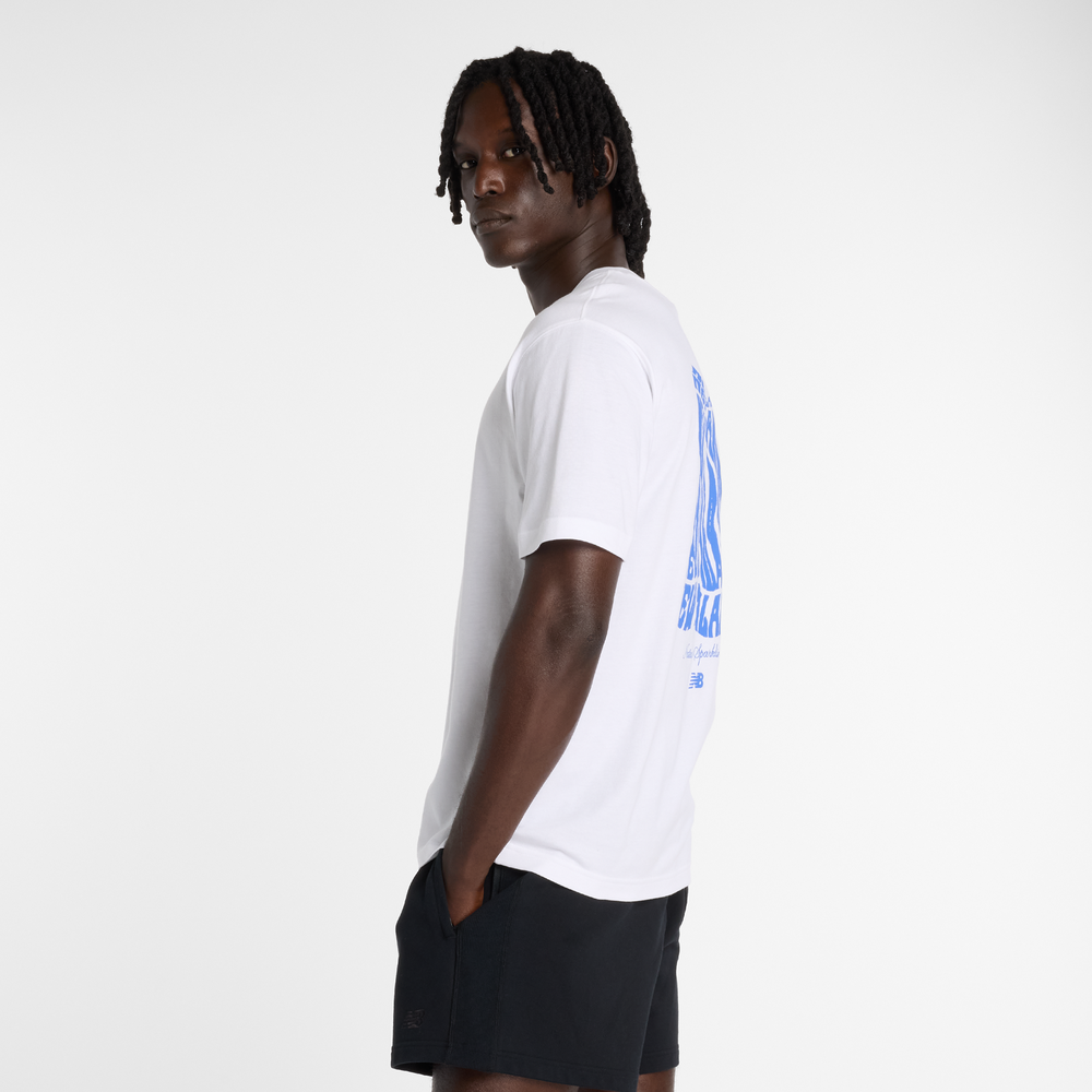 Pánske tričko New Balance MT61B2STWT – biele